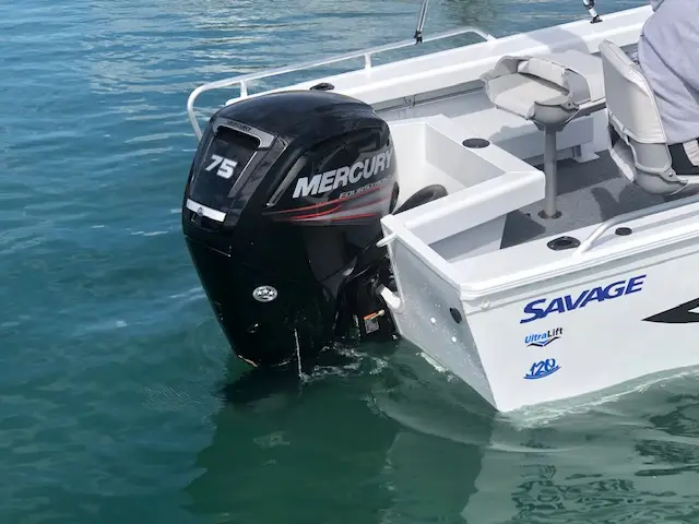 Savage Scorpion 485 boat